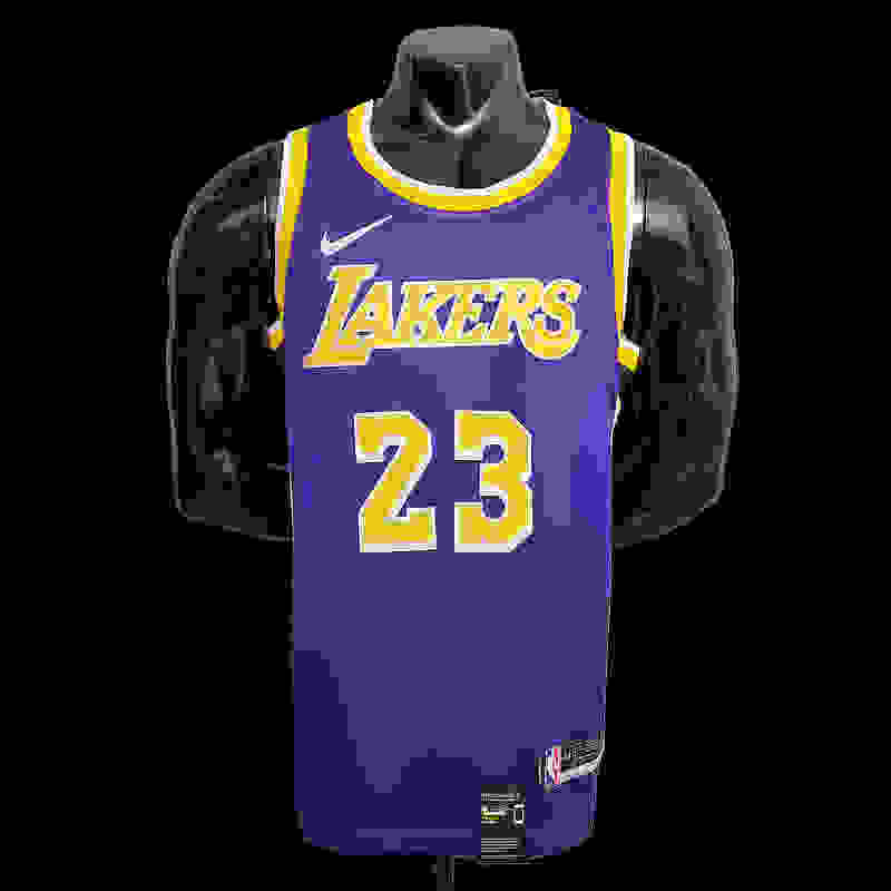 James #23 Lakers purple NBA jersey SizeXS-XXL Nike connect recognition