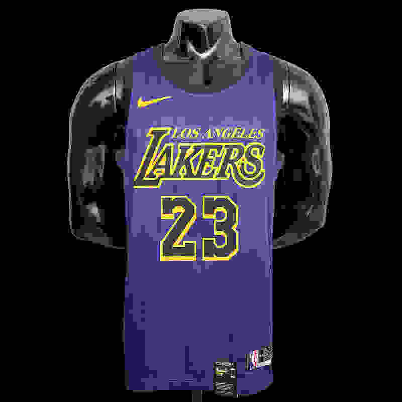 James #23 Lakers Round neck purple NBA jersey SizeXS-XXL Nike connect recognitio..