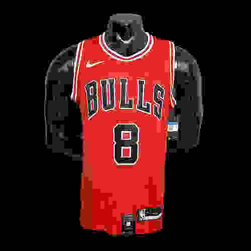 LAVINE#8 Chicago Bulls NBA jersey Size S-XXL Nike connect recognition