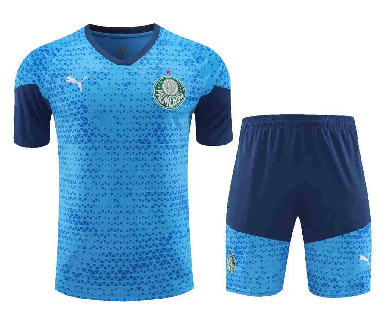 2024-2025  Palmeiras  Training jersey  adult  Kit