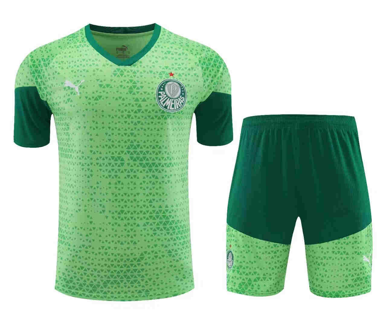 2024-2025  Palmeiras  Training jersey  adult  Kit