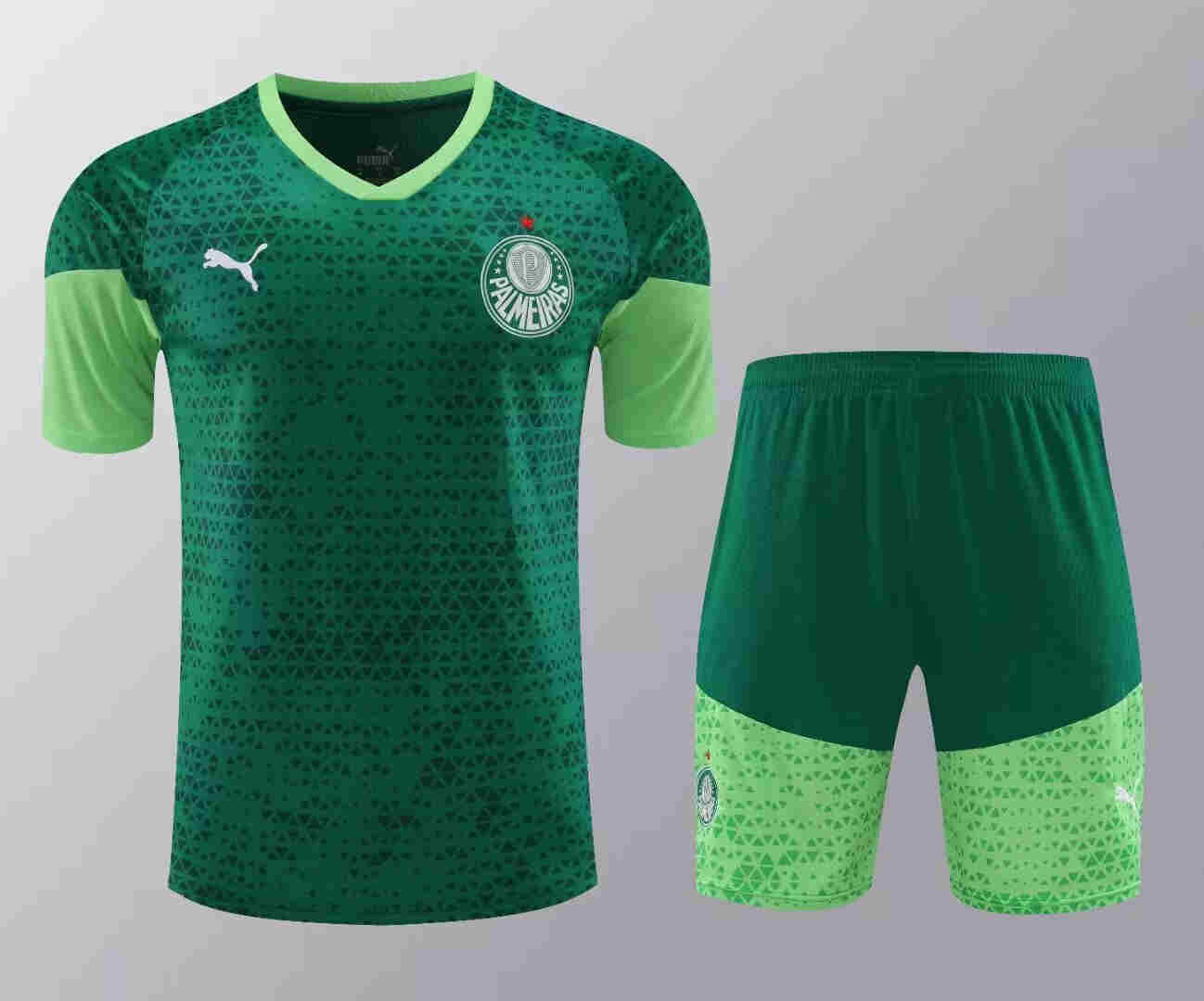 2024-2025  Palmeiras  Training jersey  adult  Kit