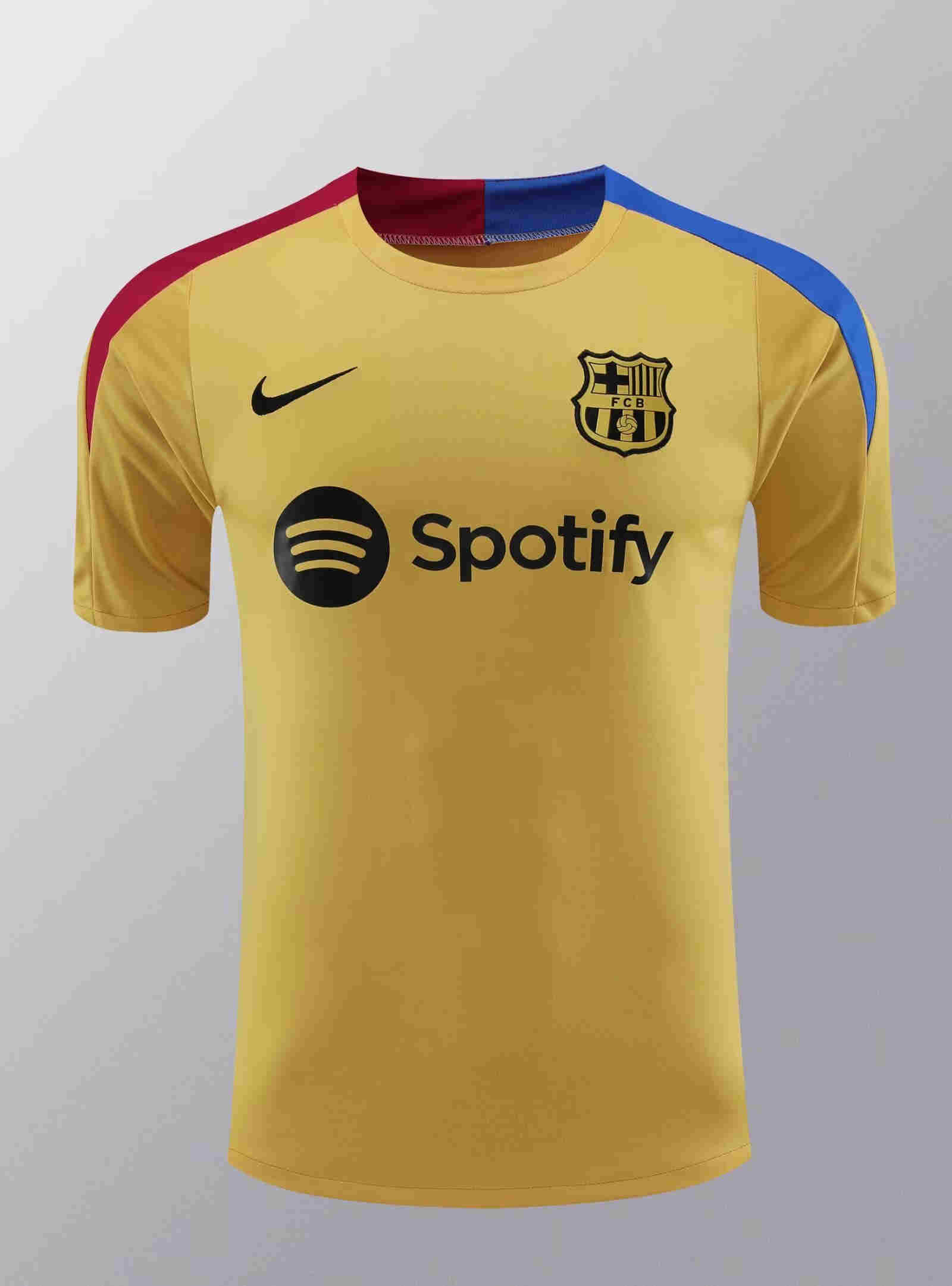 2024-2025  Barcelona Training clothes   adult  T-shirt