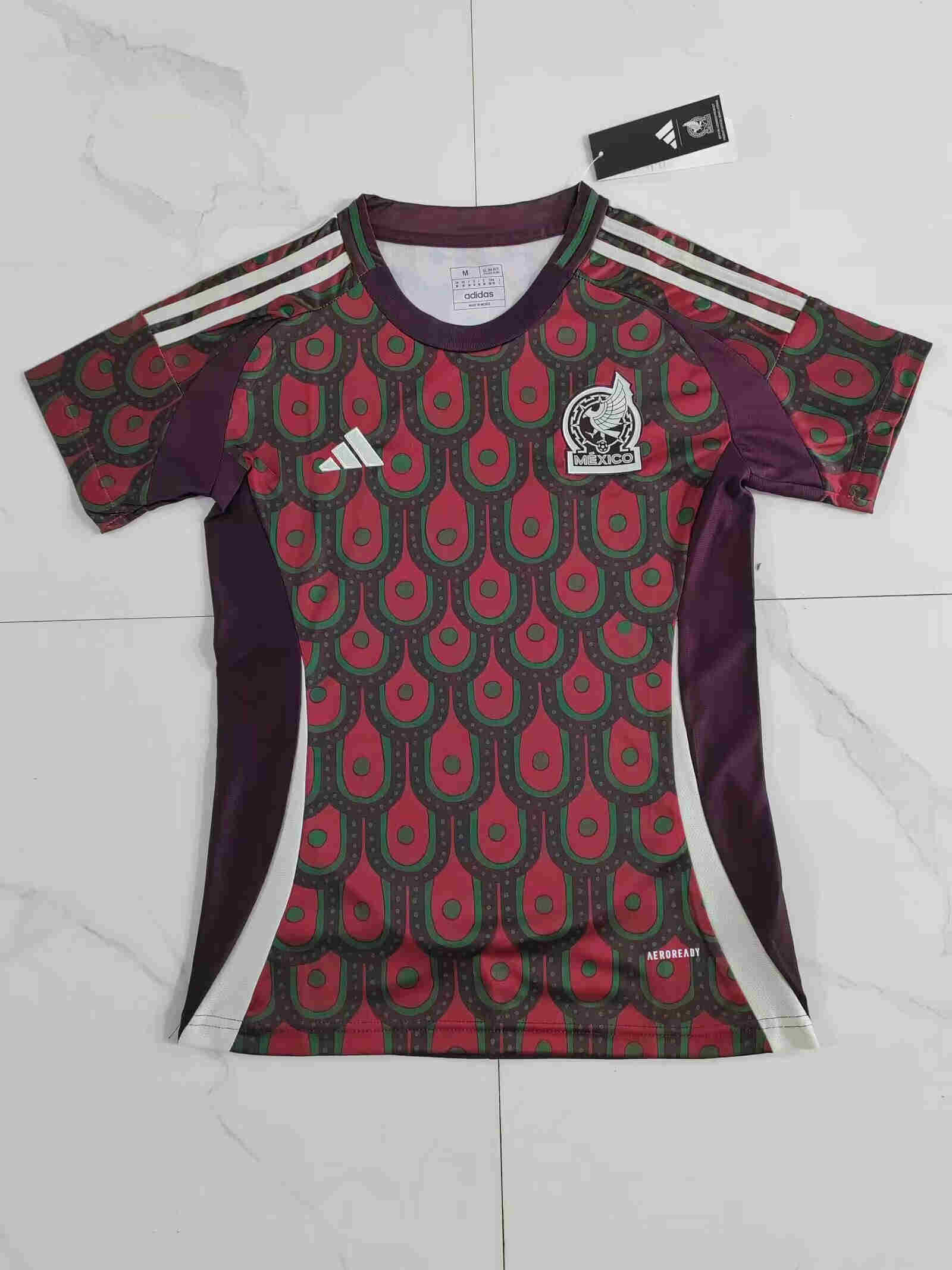 2024-2025 Mexico home woman