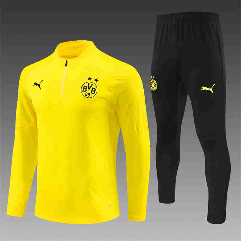 2024-2025  Dortmund adult training suit