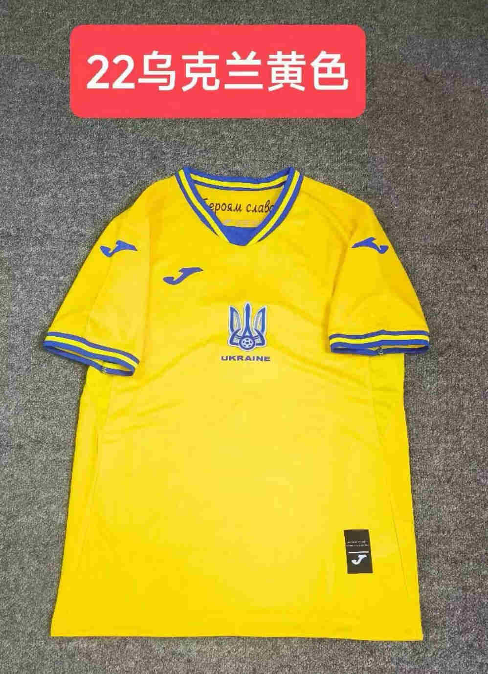 Ukraine home