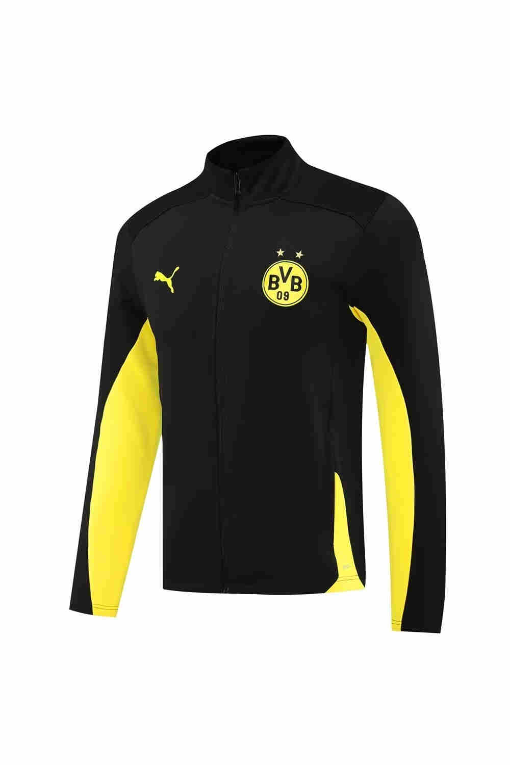 2024-2025  Dortmund adult jacket